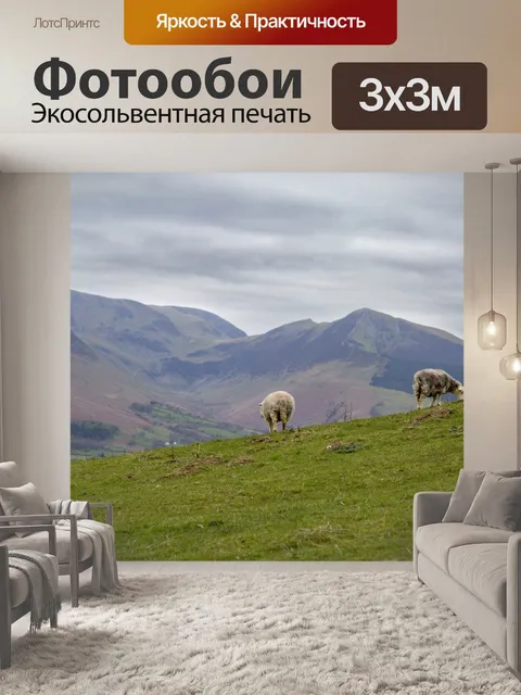 Фотообои Просмотр и удаление Skiddaw
