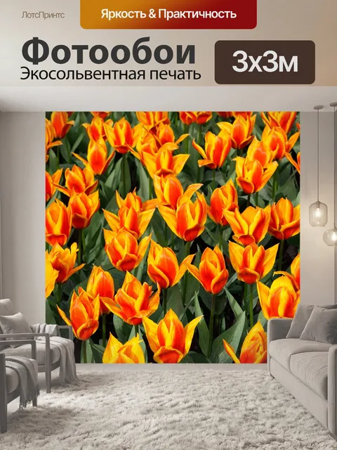 Фотообои Красный