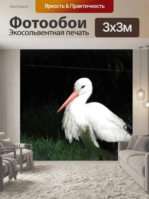 Фотообои Аист
