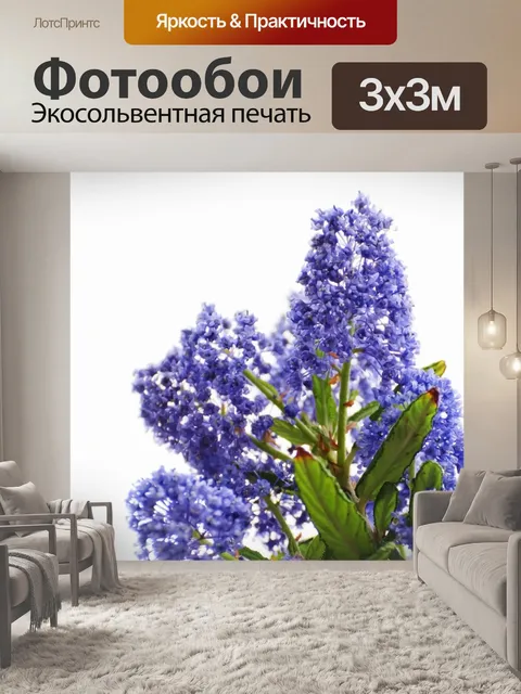 Фотообои Цветы