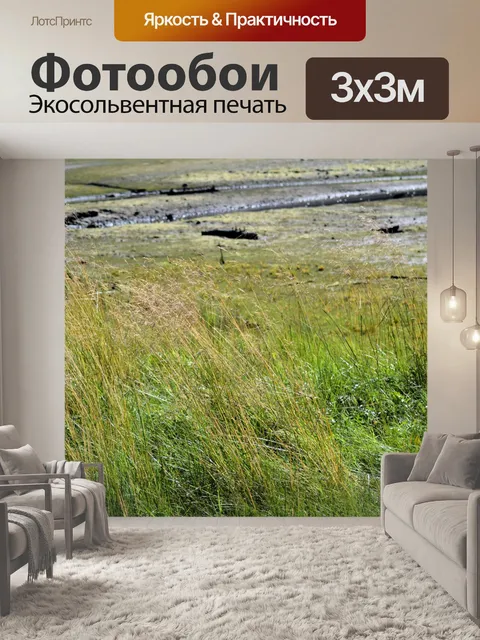 Фотообои Высокой траве
