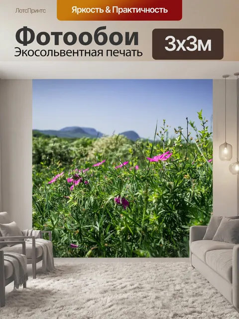 Фотообои Балатон