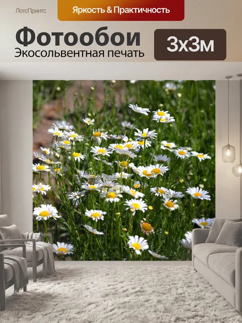 Фотообои Маргаритка