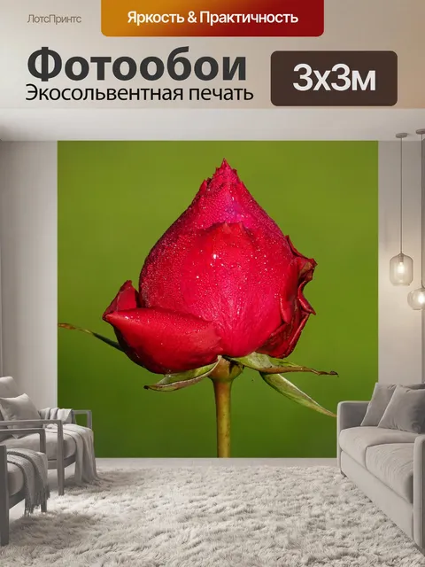 Фотообои Многообещающий Красный цветок