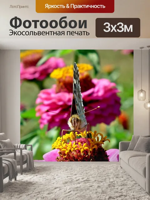 Фотообои Бабочка