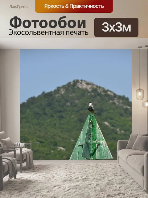 Фотообои Птица