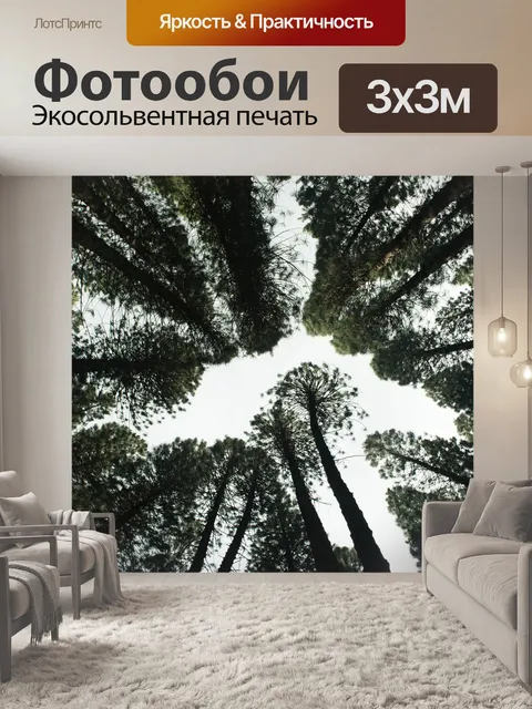 Фотообои Лес