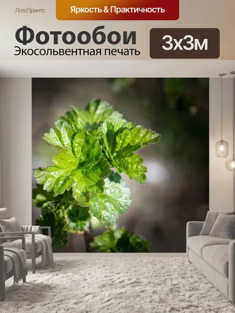 Фотообои Листья