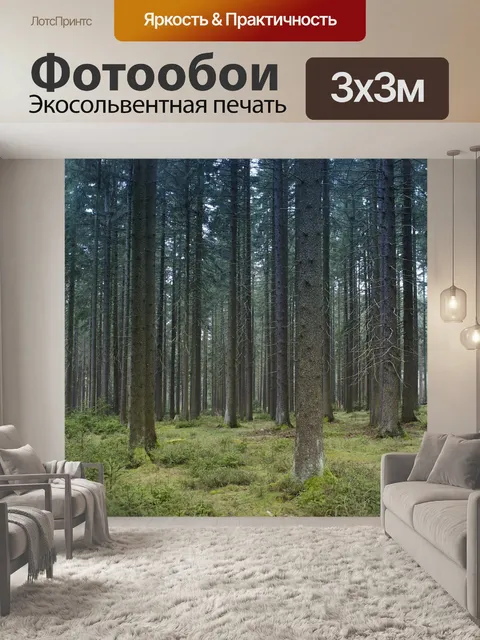 Фотообои Лес