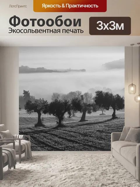 Фотообои Olive harvest