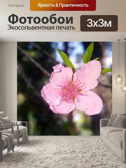 Фотообои Прыгнуть вперед