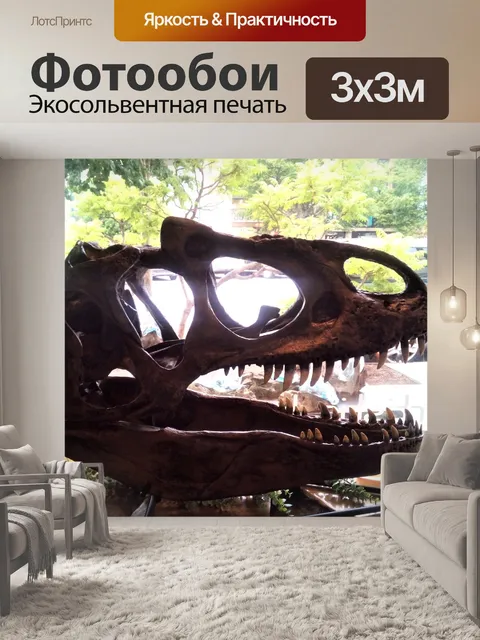 Фотообои Череп