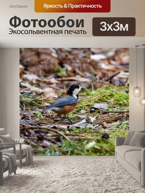 Фотообои Животное