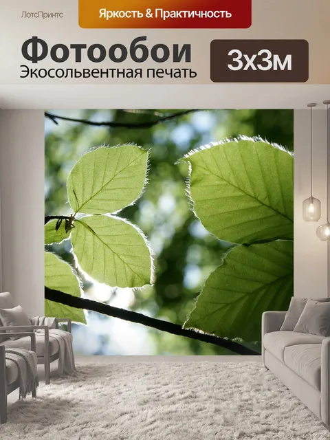 Фотообои Листья