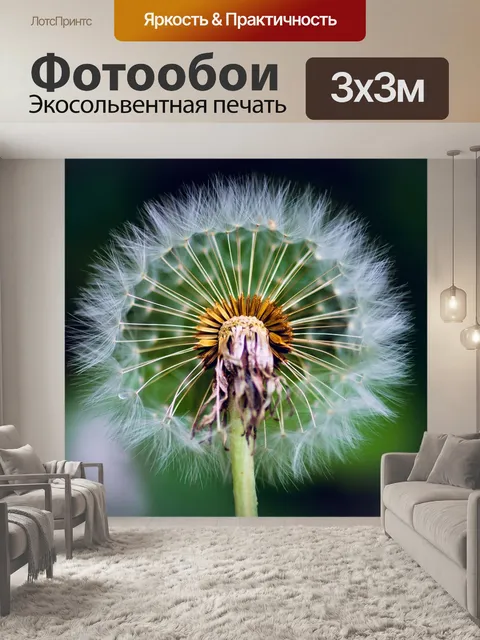Фотообои Одуванчик
