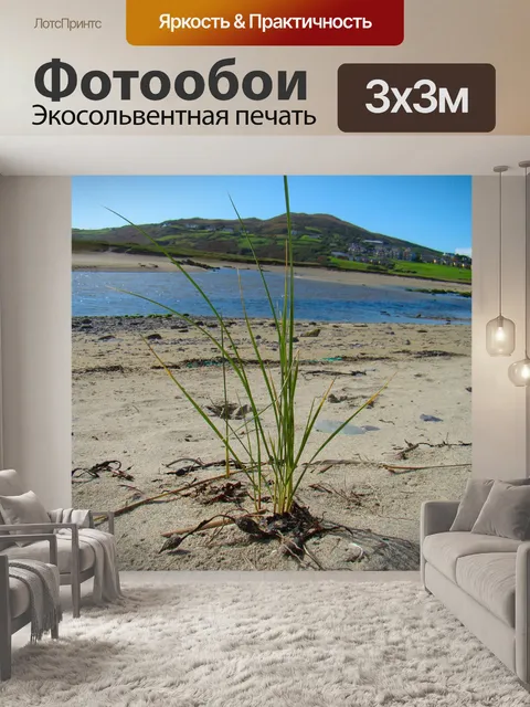 Фотообои Трава на пляже