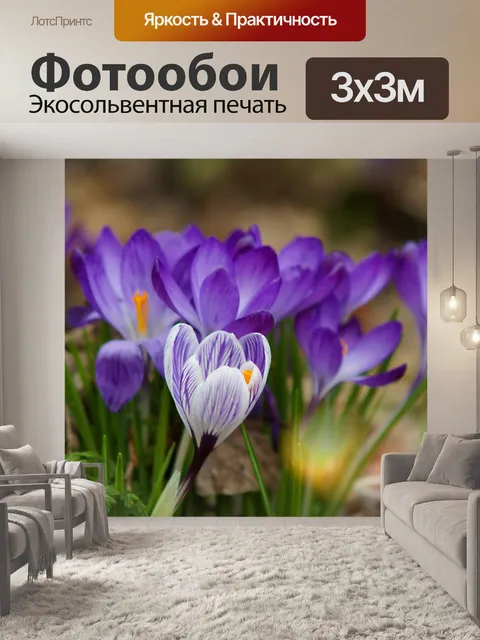 Фотообои Крокусы цветы цветут весна