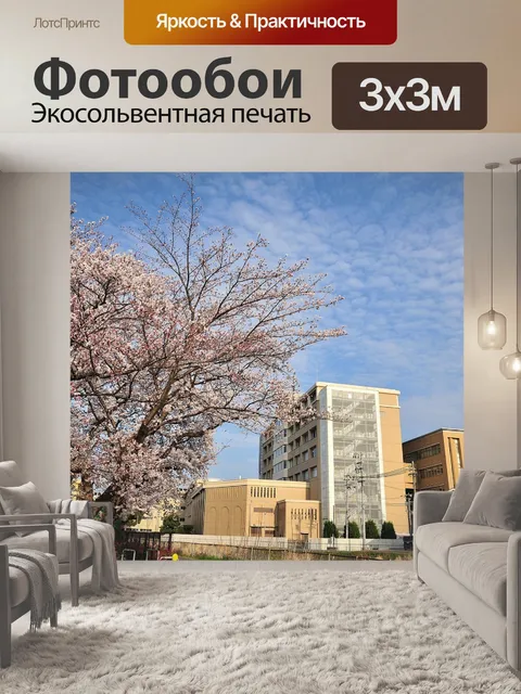 Фотообои Вуд