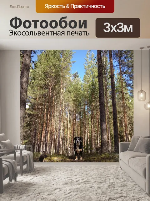 Фотообои Лес
