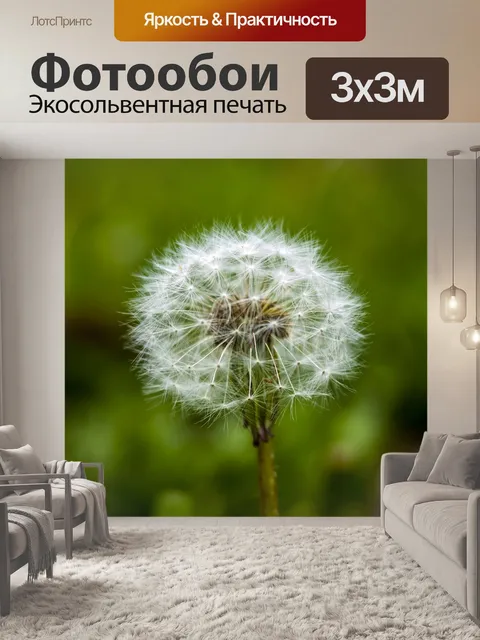Фотообои Одуванчик