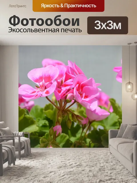 Фотообои Розовые цветы