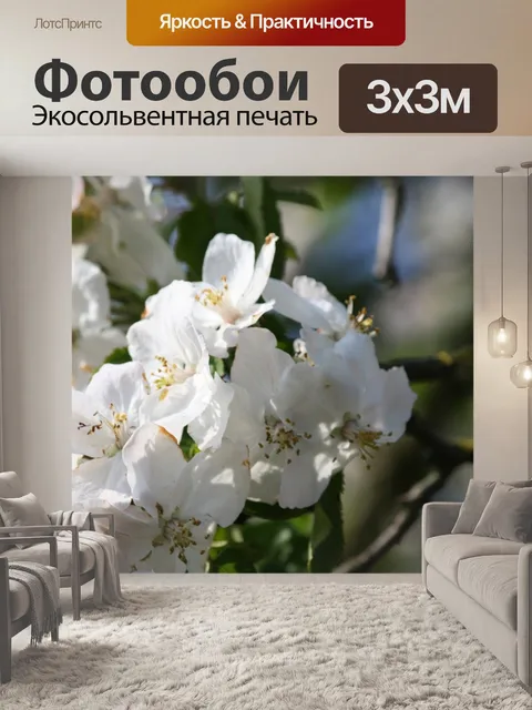 Фотообои Расцветает