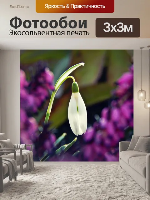 Фотообои Цветы