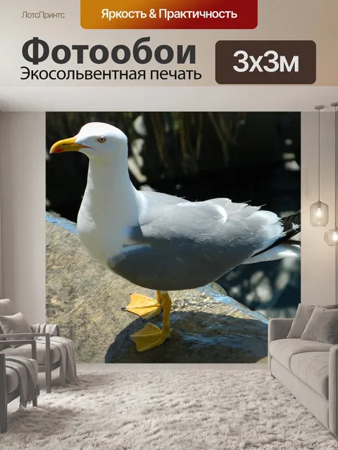 Фотообои Городской