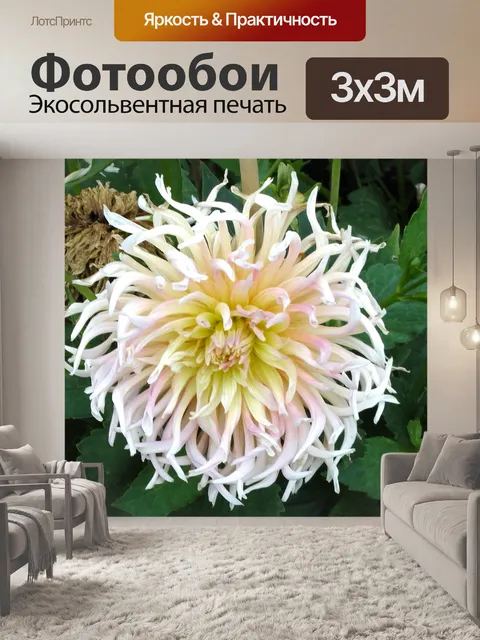 Фотообои Сад Летний цветок