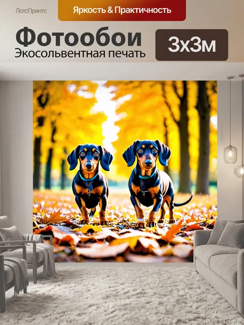 Фотообои таксы, гуляющие по осеннему парку с опавшими листьями