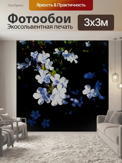 Фотообои Bluebush цветы