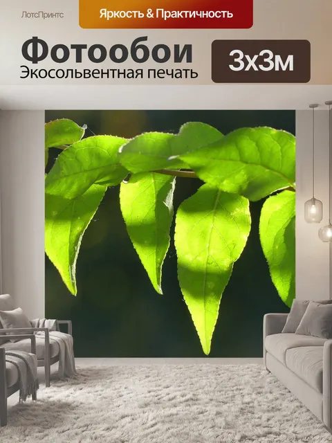 Фотообои Листья