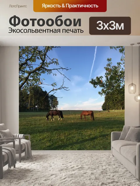Фотообои Около