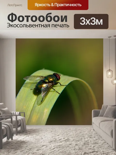 Фотообои Летать