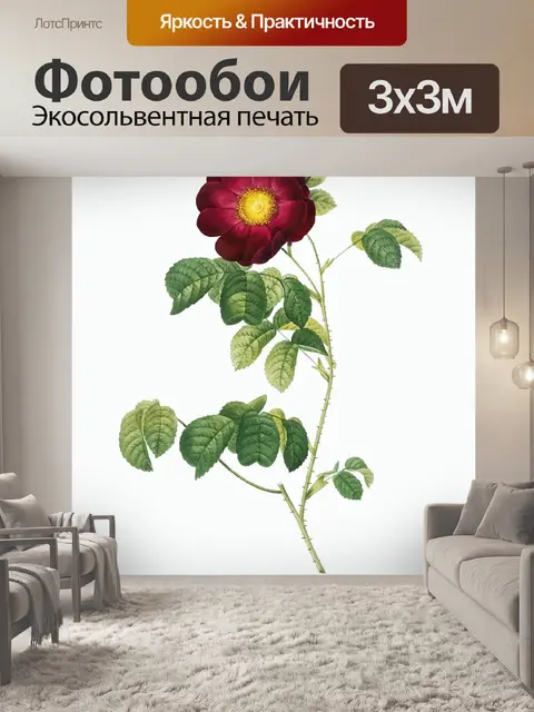 Фотообои Роза винтажное искусство старое