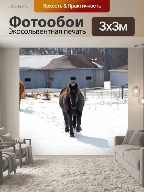 Фотообои Лошадь