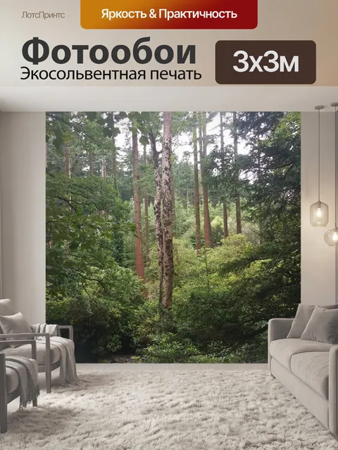 Фотообои Лесные массивы