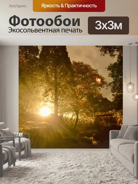 Фотообои Ночной лес лес