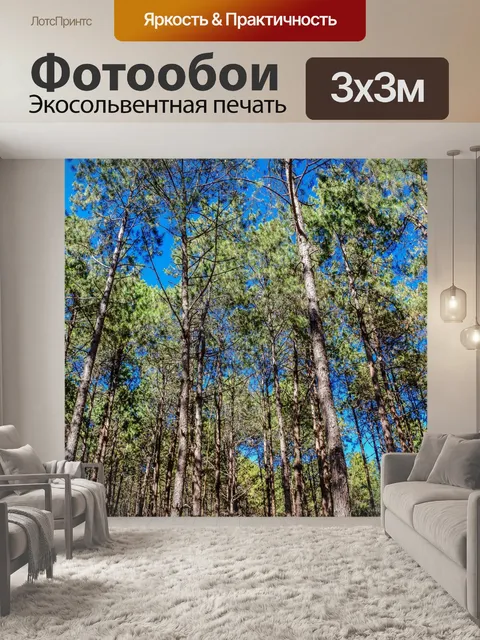 Фотообои Сосновый лес, Пан Унг, Мэй Хонг Сон