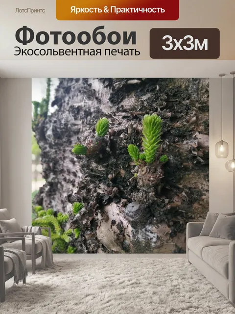 Фотообои Природа