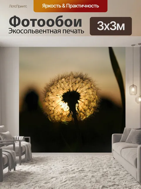 Фотообои Одуванчик