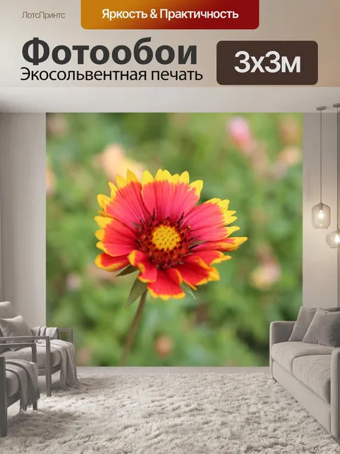 Фотообои Дерзкий