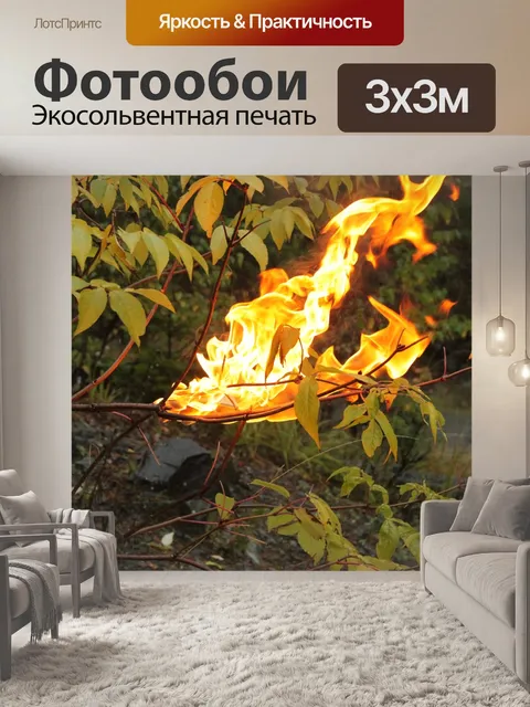 Фотообои Огонь