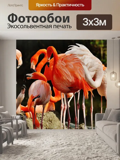 Фотообои Фламинго