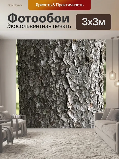 Фотообои Ель дерево
