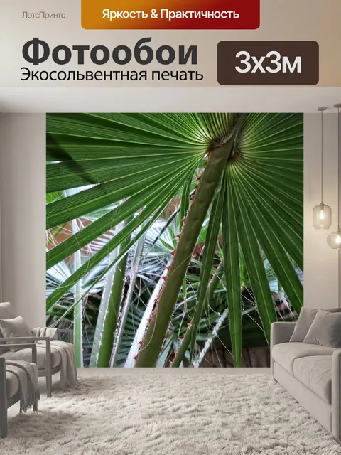 Фотообои Крупный план зеленых пальмовых листьев
