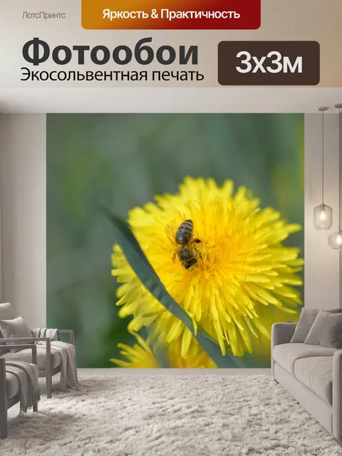 Фотообои Пчела