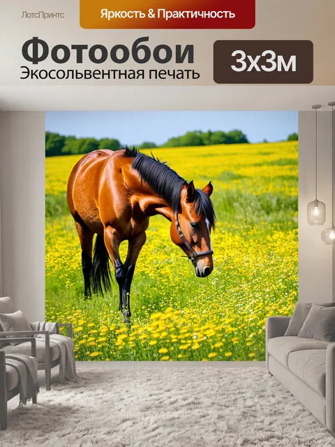 Фотообои лошадь, охотящаяся за дикими цветами в поле