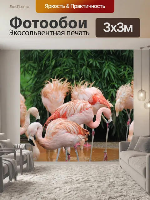 Фотообои Птица