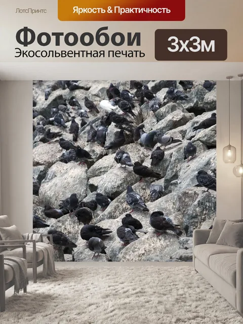 Фотообои Голуби
